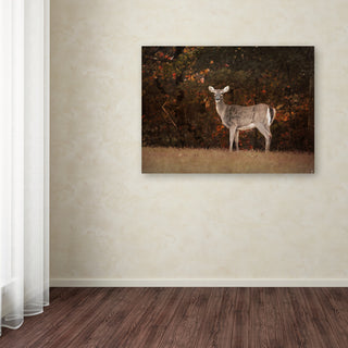 Jai Johnson 'Autumn Doe' Canvas Art, 47 x 35
