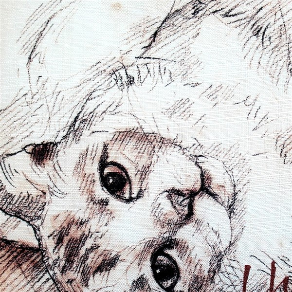 I Have Known Love Cat Pillow, 17x17