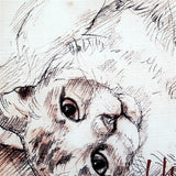 I Have Known Love Cat Pillow, 17x17