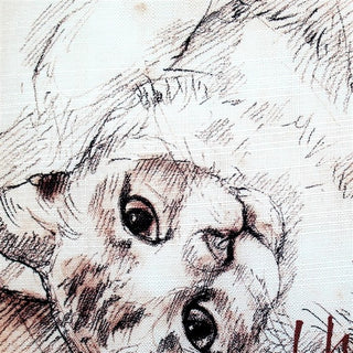 I Have Known Love Cat Pillow, 17x17