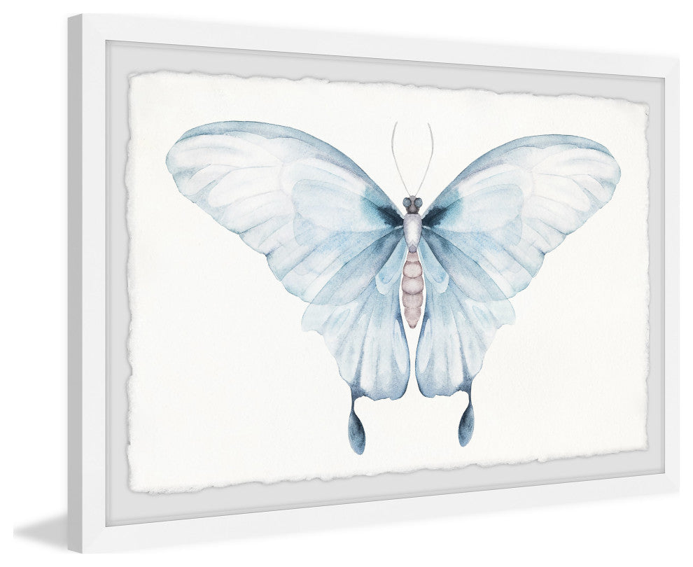 "Butterfly Beauty" Framed Painting Print, 12x8