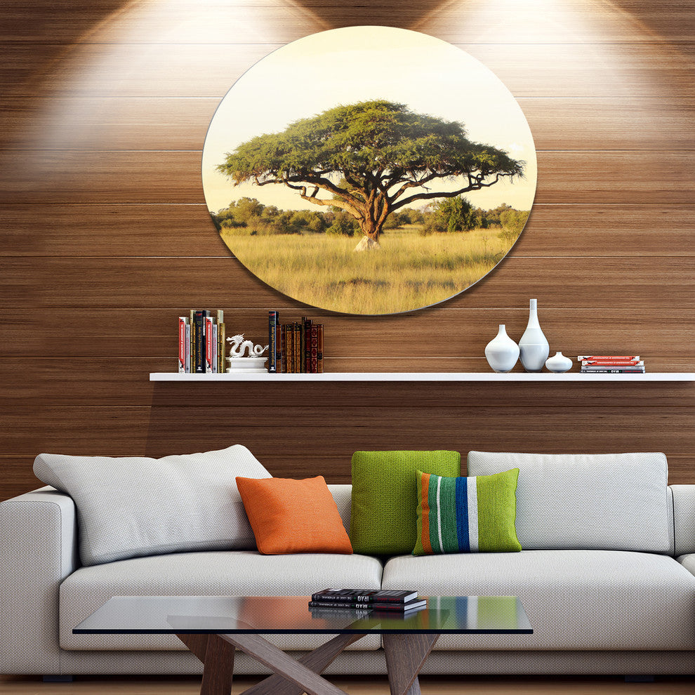 Acacia Tree On African Plain, African Landscape Disc Metal Artwork, 36"
