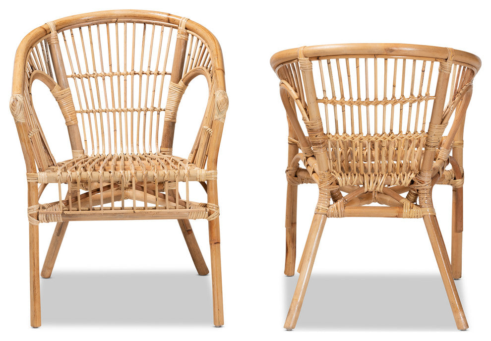 Alleta Modern Bohemian Natural Brown Rattan 2-Piece Dining Chair Set