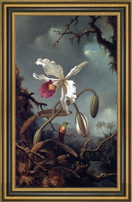 Martin Johnson Heade White Brazilian Orchid Framed Premium Canvas Print, 18"x27"