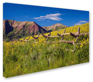 Michael Blanchette Photography 'Wood Fence' Canvas Art, 47"x30"
