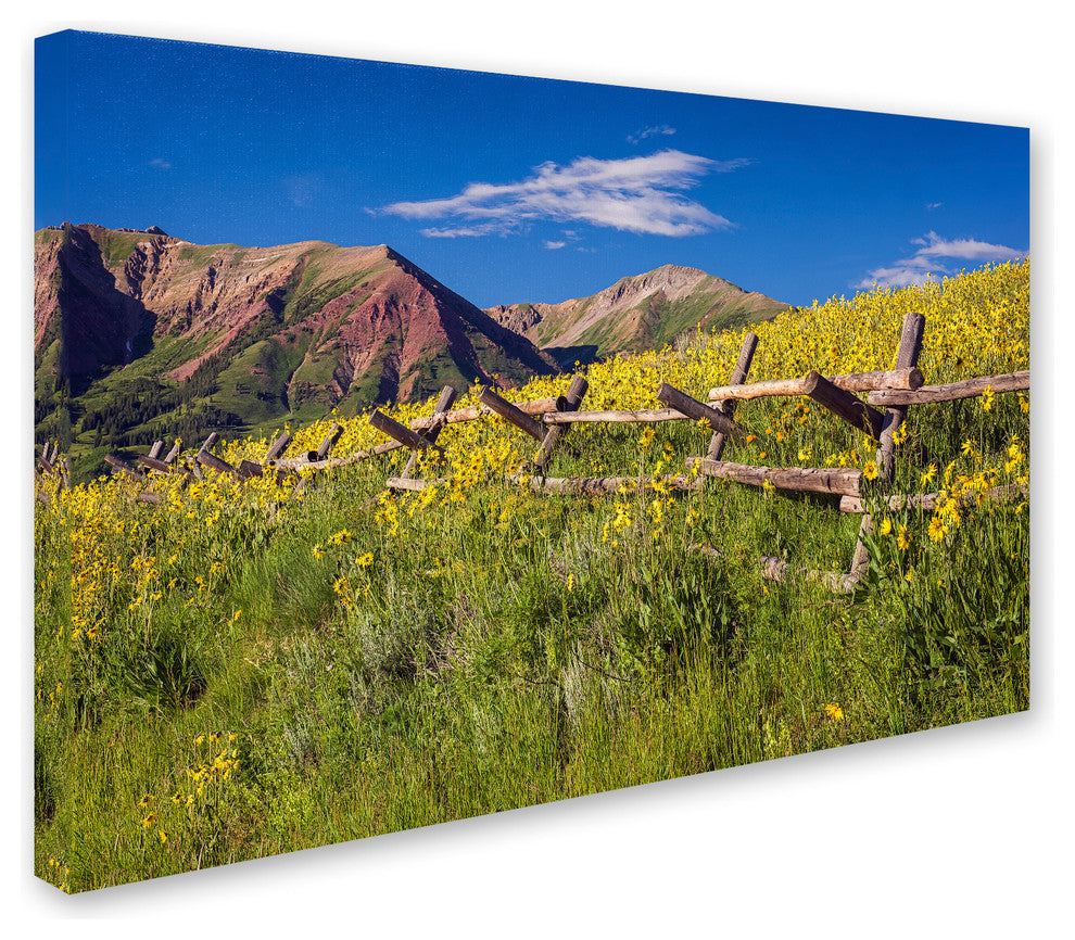 Michael Blanchette Photography 'Wood Fence' Canvas Art, 47"x30"