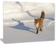 Brown Winter Cat with Footprints, Oversized Animal Wall Art, 20"x12"