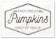 Farm Fresh Pumpkins 16x24 Canvas Wall Art