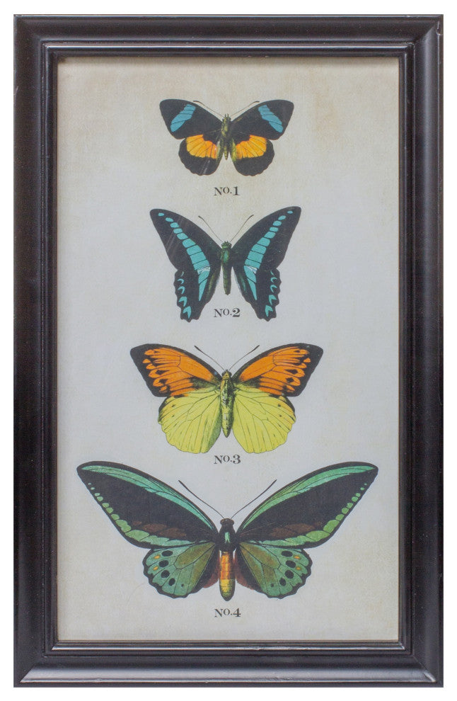 Framed Butterfly Print, 2-Piece Set