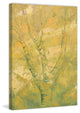 "Spring Moss" Painting Print on Wrapped Canvas by Julie Joy