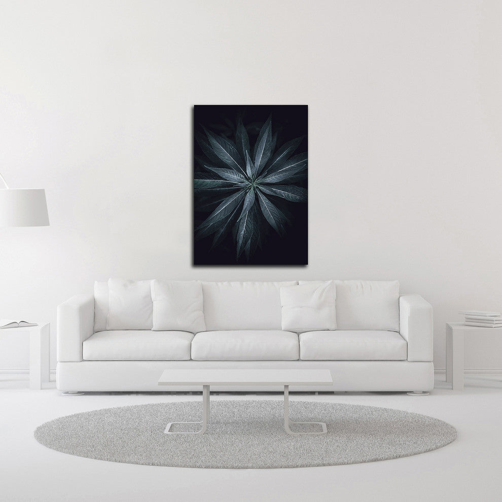 Star Flower by Design Fabrikken, Print on Canvas, 20"x28"