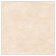 Ark Ivory Matte 24x24 Porcelain Tile