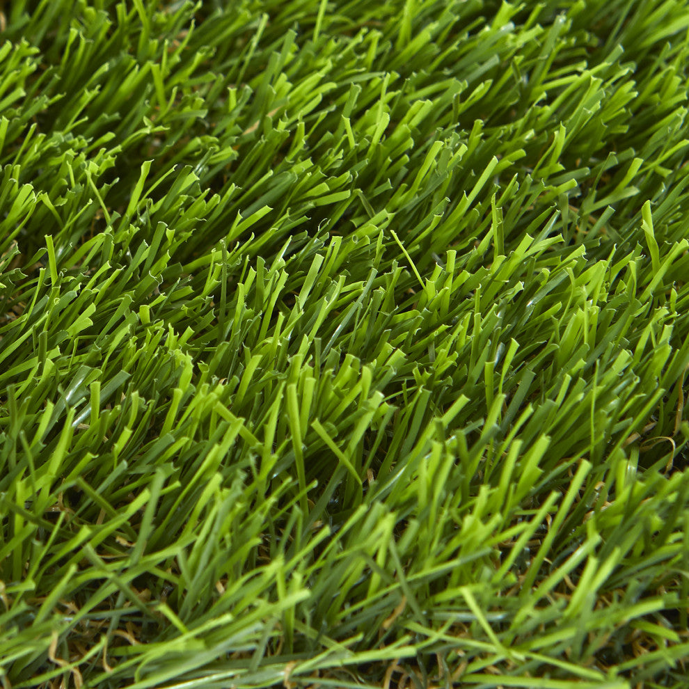 6ï¿½ x 8ï¿½ Artificial Professional Grass Turf Carpet UV Resistant (Indoor/Outdoor)