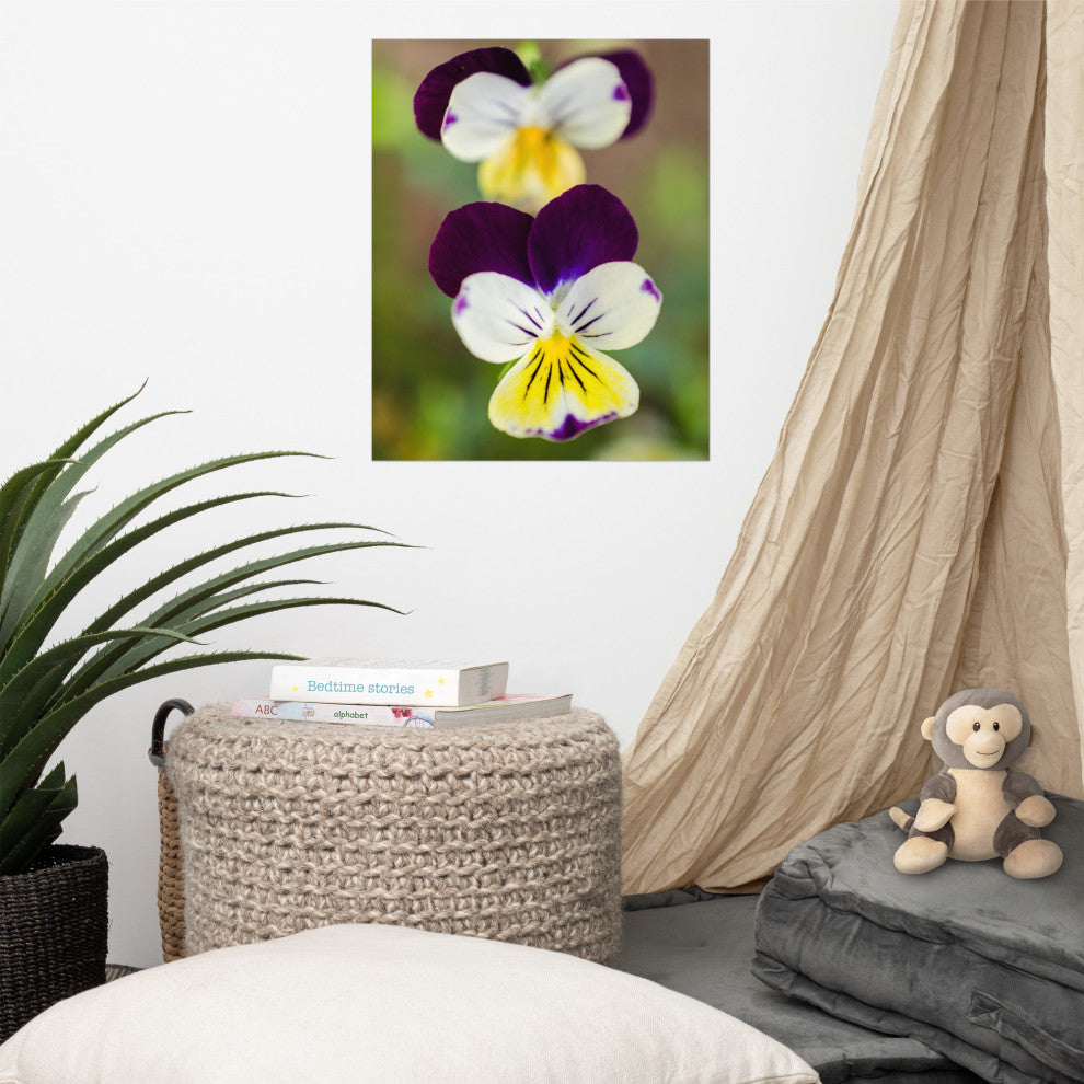 Pretty Little Violets Floral / Botanical Photograph Unframed Wall Art Prints, 16" X 20"