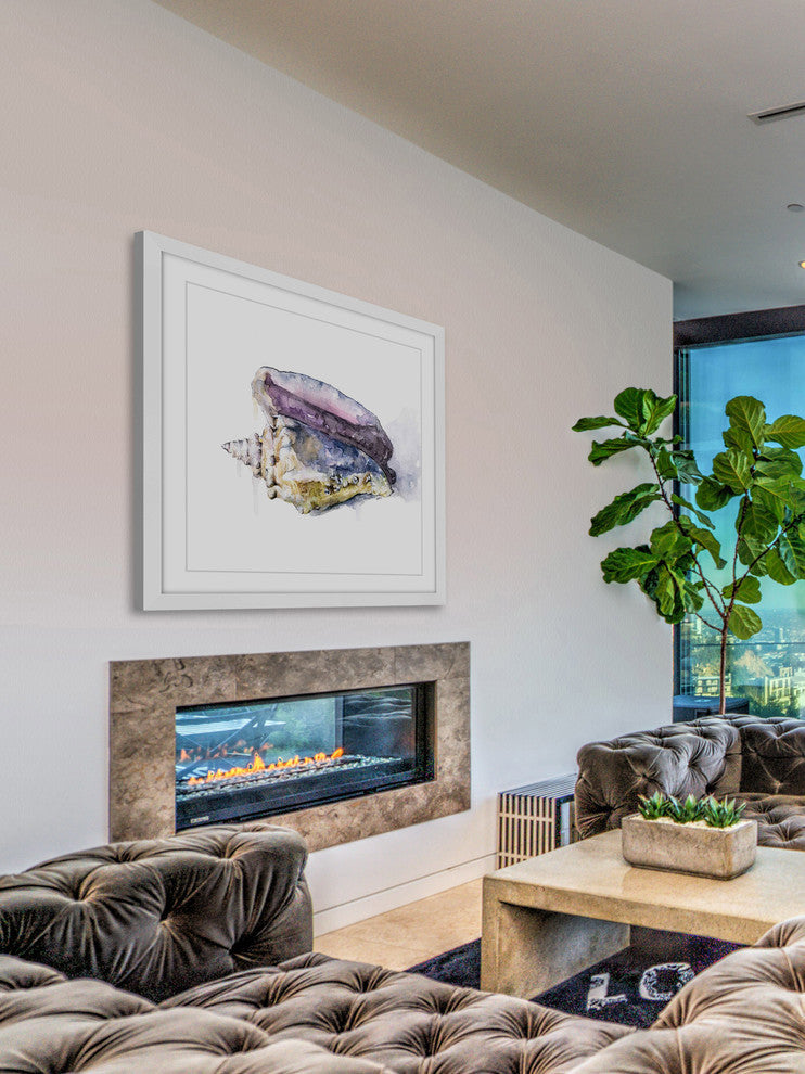 "Tidal Conch" Framed Print by Rachel Byler