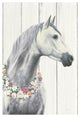 "Spirit Stallion I on Wood no Lace" Digital Paper Print by James Wiens, 14"x20"