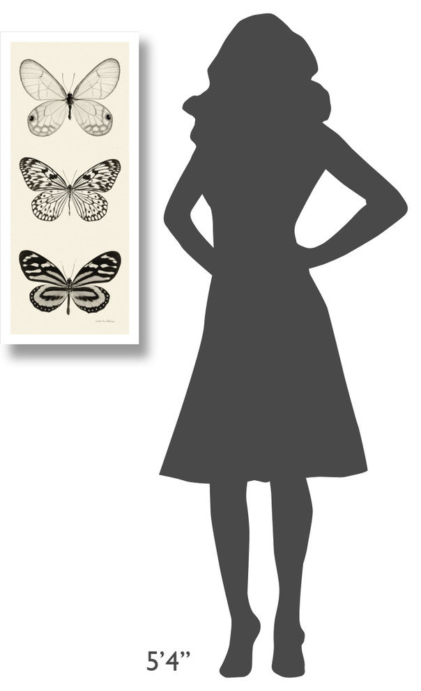 "Butterfly - BW Panel II" Digital Paper Print by Debra Van Swearingen, 14"x32"
