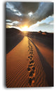 "Hiking Path in Desert At Sunset" Modern Landscape Wall Art Canvas, 20"x40"