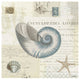 "Beach Wonders III No Butterflies" Digital Paper Print by Katie Pertiet, 32"x32"