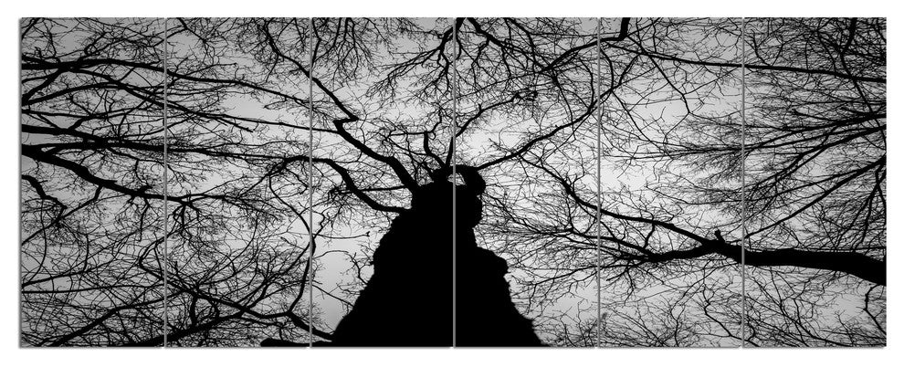 Photo of Winter Branches, Landscape Canvas Art Print, 70"x28", 6 Panels