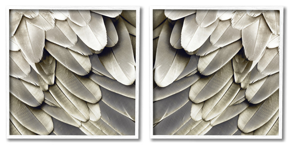 Feathered Bird Wings Lovely Close Up Photography, 2pc, each 12 x 12