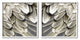 Feathered Bird Wings Lovely Close Up Photography, 2pc, each 12 x 12