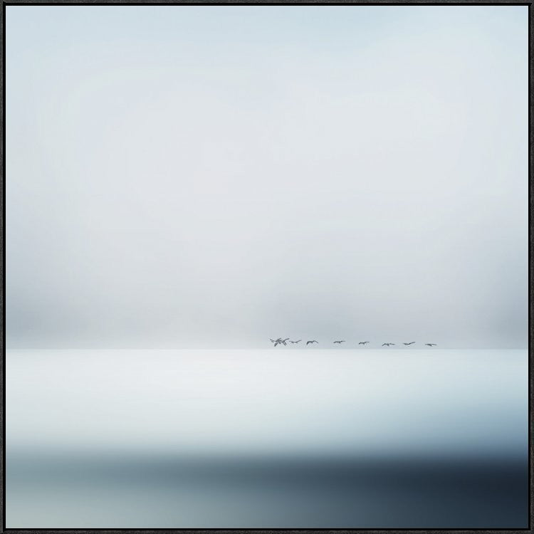 "Wild Geese" Framed Canvas Giclee by Piet Flour, 41x41"