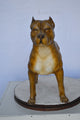 Pitbull Dog Colored Bronze Statue -  Size: 33"L x 10"W x 26"H.