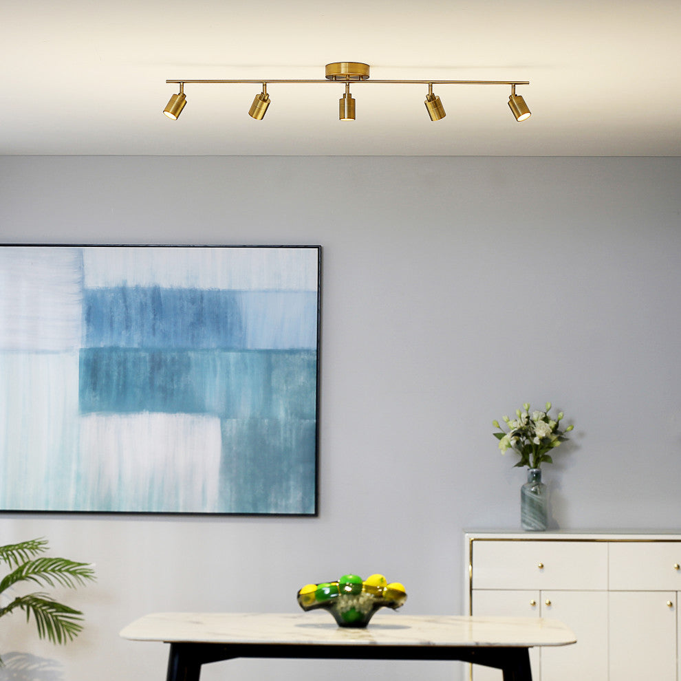 Vidalite Shura, Linear, 5 Head Track Light Brass