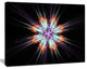 Abstract Flowers on Black Background, Flower Artwork on Canvas, 20"x12"