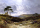 Senior George Cole Near Liss Hampshire, 18"x27" Wall Decal