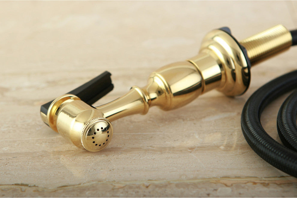 Gourmet Scape Kitchen Faucet Side Sprayer, Polished Brass