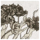 "Ruffled Tulips Neutral" Digital Paper Print by Shirley Novak, 26"x26"