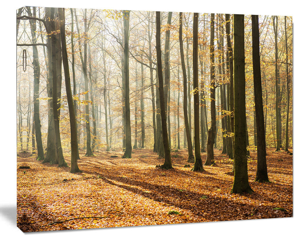 Bright Autumn Day in Thick Forest, Modern Forest Canvas Art, 20"x12"