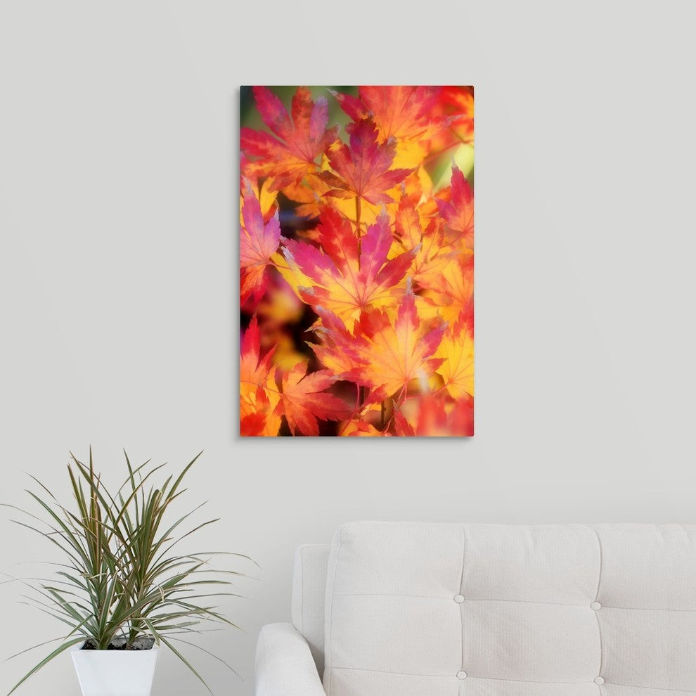 "Foliage" Wrapped Canvas Art Print, 16"x24"x1.5"