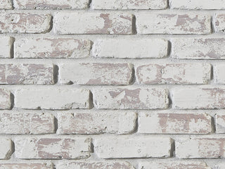 Old Chicago Brick Faux Brick Wall Panel, Old Chicago Brickpanel, Whitewash Brick