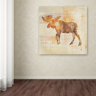 Studio Mousseau 'Moose Study' Canvas Art, 24x24