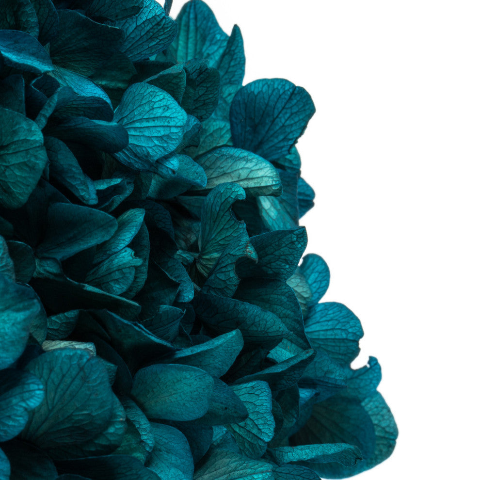 Vickerman Natural Botanicals 15 Hydrangea With Multiple Branch Segments
