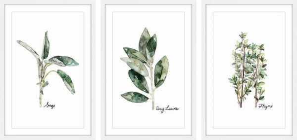 "Herb Trio" Framed Painting Triptych, 48"x24"