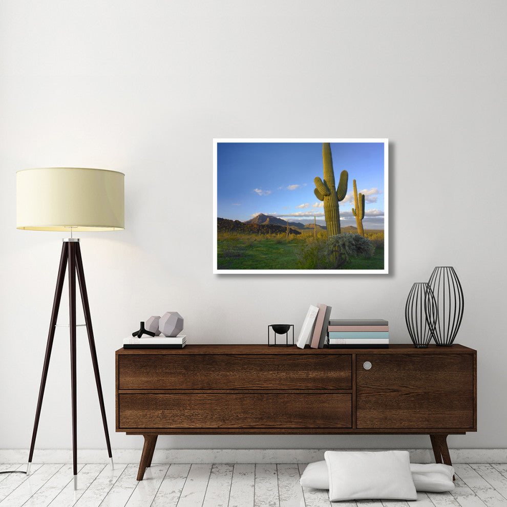 "Saguaro and Teddybear Cholla, Picacho Peak State Park" Paper Art, 42"x32"