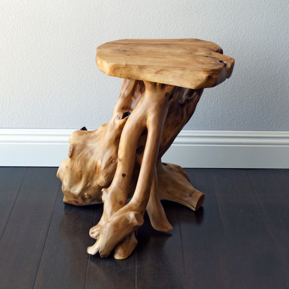 Unique Root End Table