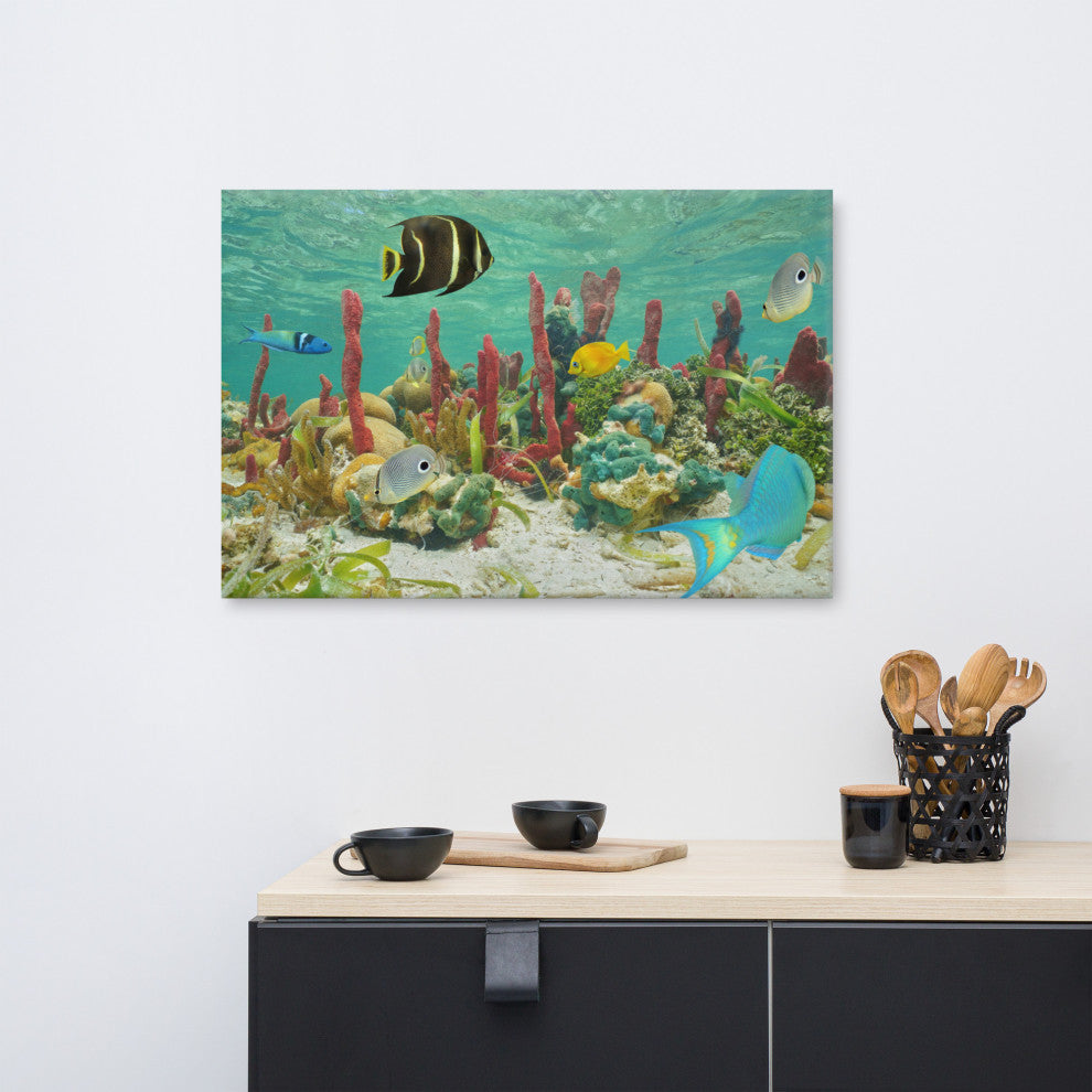 Colorful Tropical Fish Marine Life Coral Reef Wildlife Photo Canvas Art Print, 24" X 36"