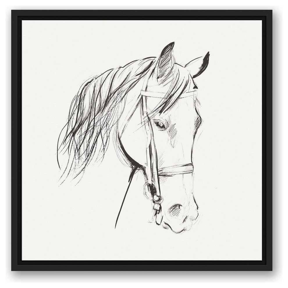"Calm Horse Sketch" Black Floating Framed Canvas, 20"x20"