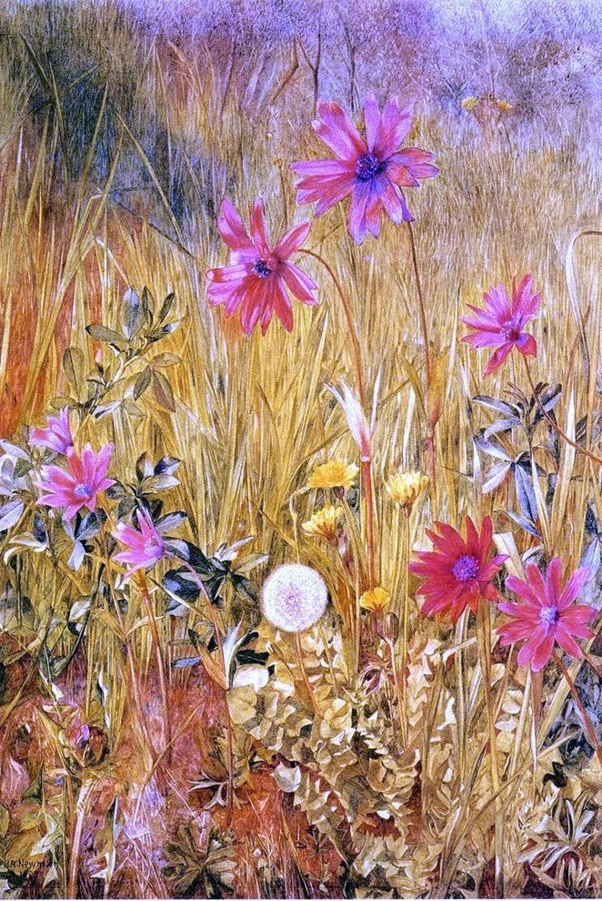 Henry Roderick Newman Wildflowers Premium Canvas Print