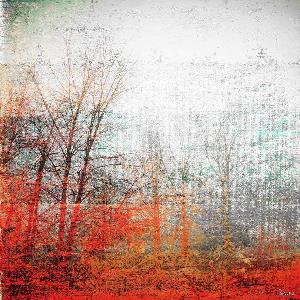 "Deep Forest" Fine Art Canvas Print, 18"x18"