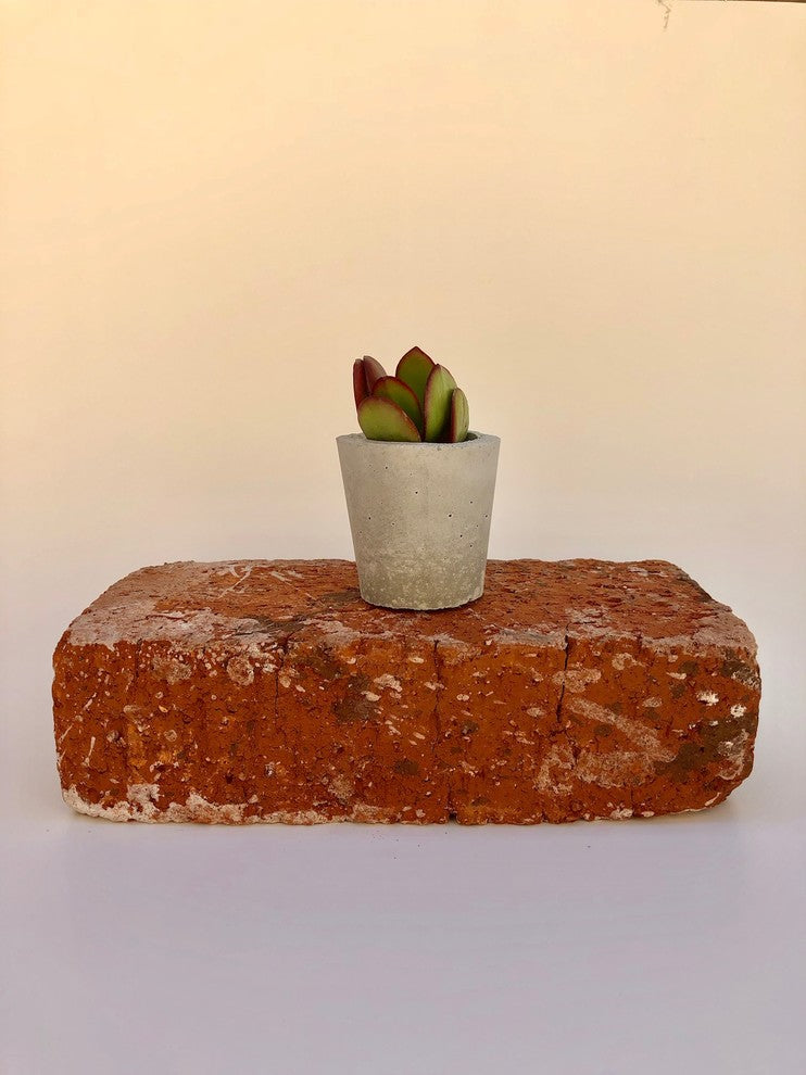 Mini Concrete Planters, Set of 10, Not Painted
