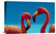 "Greater Flamingo Courting Pair, Caribbean Species" Artwork, 18" x 12"