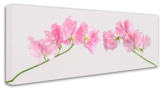 Cora Niele 'Two Sweet Peas' Canvas Art