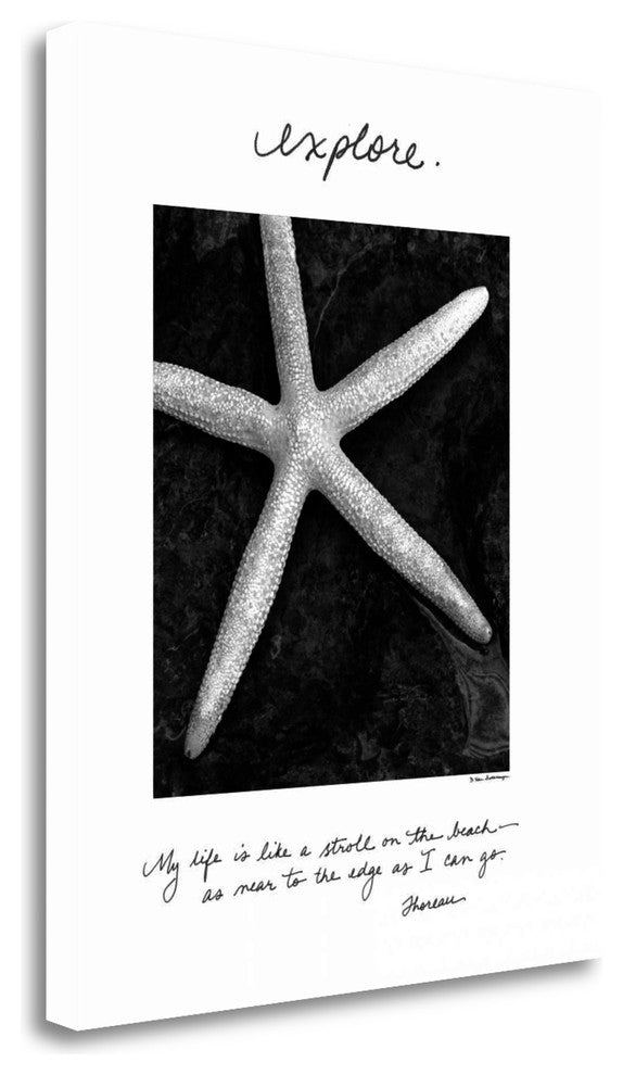 "Explore" By Debra Van Swearingen, Giclee Print on Gallery Wrap Canvas