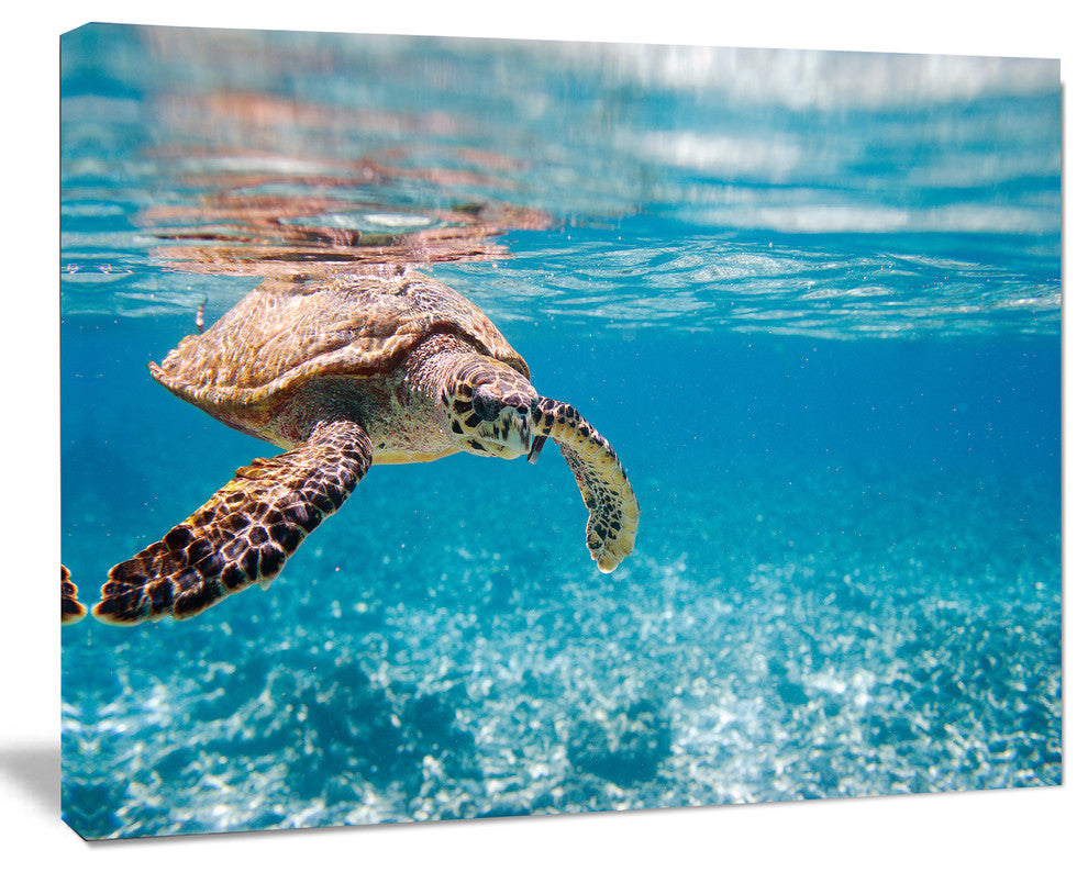 Large Hawksbill Sea Turtle, Abstract Canvas Art Print, 40"x30"